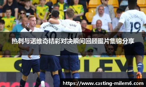 热刺与诺维奇精彩对决瞬间回顾图片集锦分享