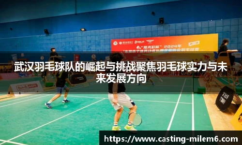 武汉羽毛球队的崛起与挑战聚焦羽毛球实力与未来发展方向